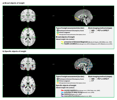 **Figure 2. Distinctive insight modalities appears to be underpinned by different brain areas in frontotemporal dementia.**