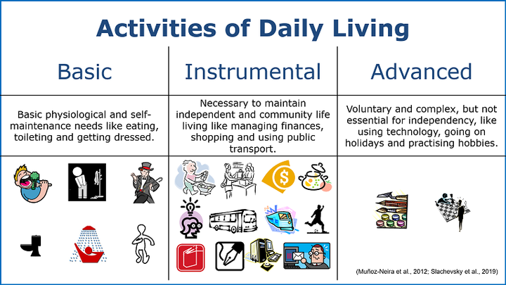 the-technology-activities-of-daily-living-questionnaire-a-version-with